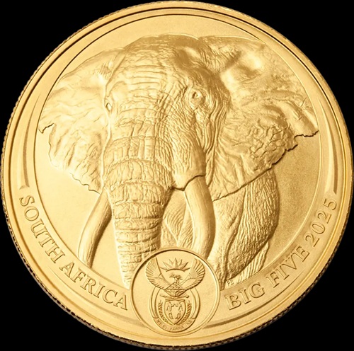 South African Gold